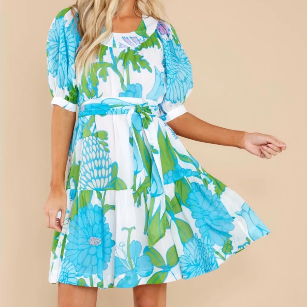 Olivia james the label dress